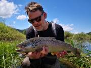 Chalk stream Brown trout May Sv